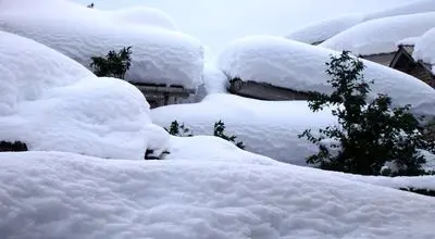 پیش بینی غیر منتظره بارش برف در این استان
