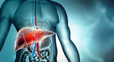 این علامت پنهان مشکلات کبدی را جدی بگیرید
