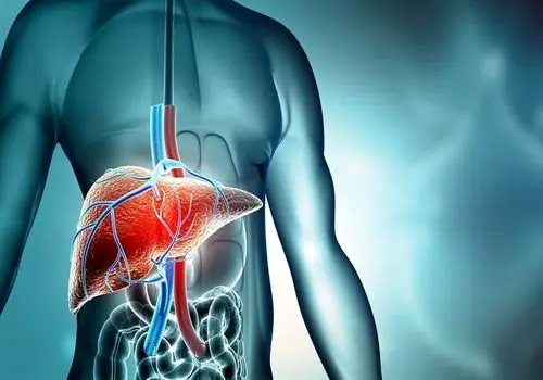 این علامت پنهان مشکلات کبدی را جدی بگیرید
