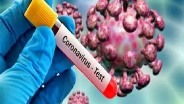 شناسایی موارد ابتلا به کرونا در میان زائران بازگشتی از اربعین در یزد