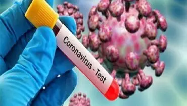 شناسایی موارد ابتلا به کرونا در میان زائران بازگشتی از اربعین در یزد