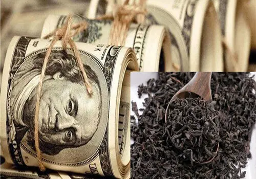حکم پرونده چای دبش صادر شد + جزئیات