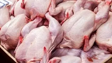 پوست و جگر مرغ را هرگز نخورید