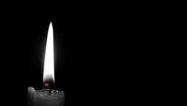 
همسر سپهبد شهید محمد باقری به شهادت رسید
