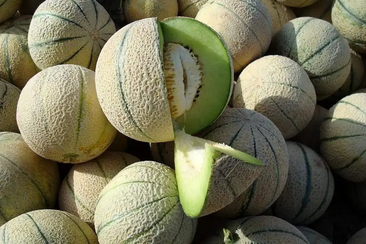 این افراد نباید طالبی بخورند!
