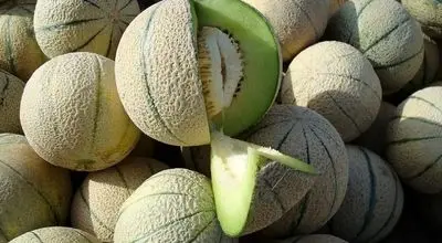 این افراد نباید طالبی بخورند!