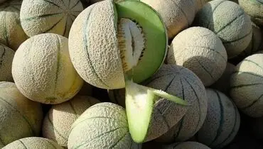 این افراد نباید طالبی بخورند!