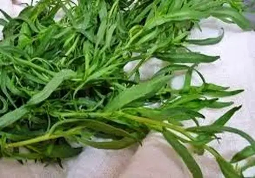 خواص درمانی  سبزی تره از بهبود تنفس تا تسکین درد مفاصل