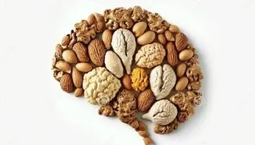 غذاهای فوق‌العاده برای ذهنی تیز و خلاق
