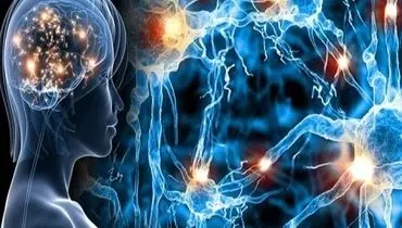 شناسایی دو باکتری کلیدی در روده؛ گامی بزرگ در فهم منشأ بیماری ام‌اس