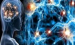 شناسایی دو باکتری کلیدی در روده؛ گامی بزرگ در فهم منشأ بیماری ام‌اس
