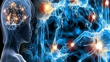 شناسایی دو باکتری کلیدی در روده؛ گامی بزرگ در فهم منشأ بیماری ام‌اس