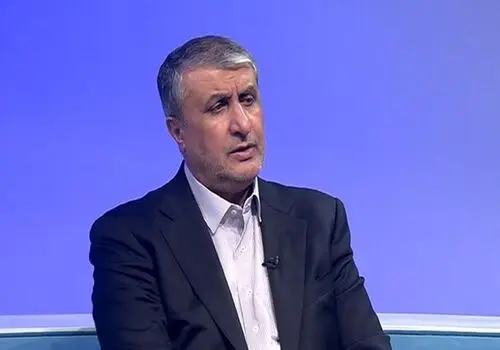 اسلامی: مشارکت با بخش خصوصی را در سازمان انرژی اتمی کلید زدیم

