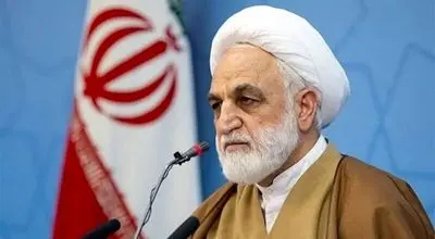 دستور ویژه محسنی اژه‌ای در پرونده الهه حسین‌نژاد
