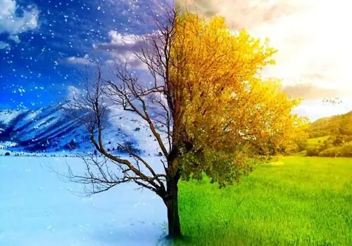 چرا آبله مرغان در بهار شایع‌تر می‌شود؟ (3 دلیل اصلی)