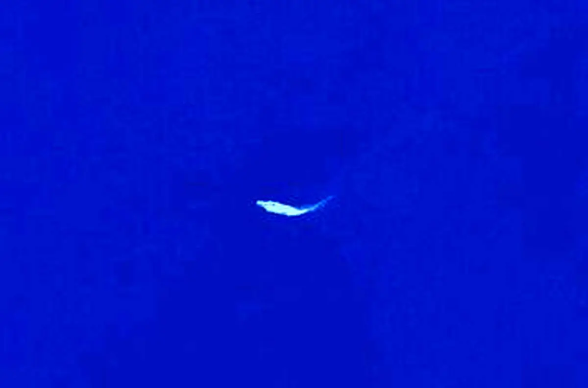 ناو آمریکایی در نزدیکی سواحل جنوب عمان+  عکس