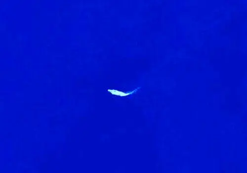 اسرائیل از فرو رفتن ناو هواپیمابر جرالد فورد در فاضلاب خبر داد + فیلم