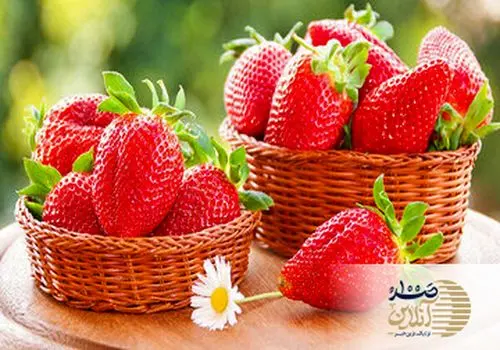 خواص بی نظیر سیر برای سلامتی