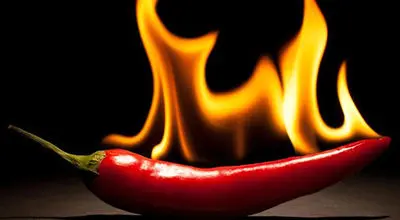 مصرف غذاهای تند و فلفلی چه فواید و ضررهایی دارد؟
