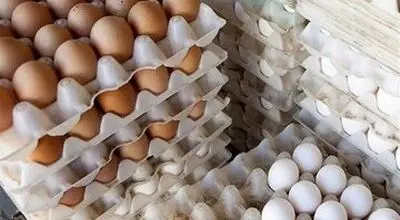 قیمت جدید تخم‌مرغ اعلام شد