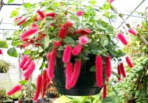 این کار اشتباه بعد حمام ممنوع است