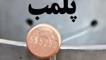 کافه سگ‌ها در تهران پلمب شد+ عکس