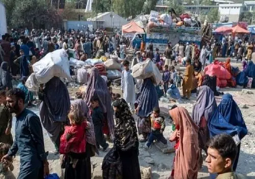 شجریان: حتی اگر جنگ شود، از ایران نمی‌روم+ فیلم 