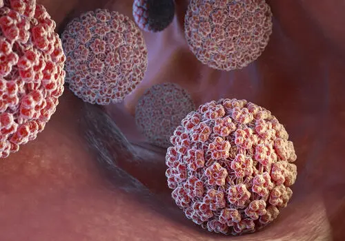 بیماری HPV؛ نحوه انتقال، خطرات، پیشگیری و درمان