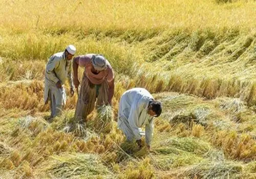 اخراج اتباع افغانستانی غیرمجاز از سمنان