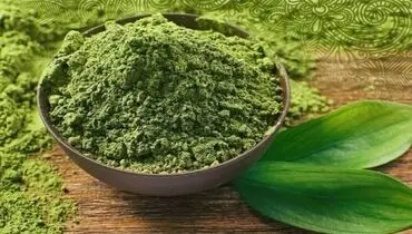 ترکیبی شگفت‌انگیز در حنا؛ امیدی تازه برای درمان آسیب‌های کبدی