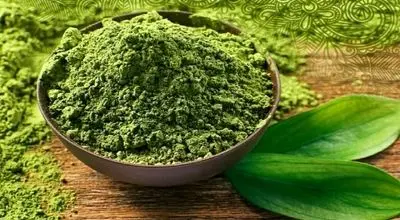 ترکیبی شگفت‌انگیز در حنا؛ امیدی تازه برای درمان آسیب‌های کبدی