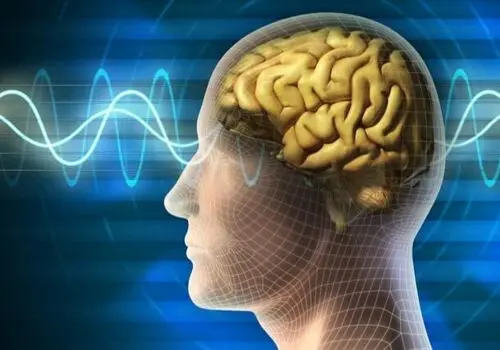 آیا ذهن به ما دروغ می‌گوید؟

