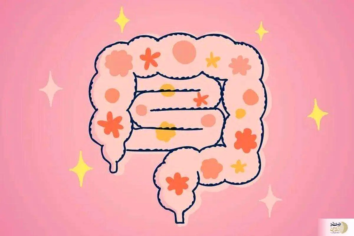 اگر این ۵ علامت را دارید، سلامت روده‌تان به خطر افتاده است