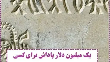 یک میلیون دلار پاداش برای کسی که بتواند خط کتیبه های هندی ۵۳۰۰ ساله را رمزگشایی کند!