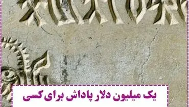 یک میلیون دلار پاداش برای کسی که بتواند خط کتیبه های هندی ۵۳۰۰ ساله را رمزگشایی کند!