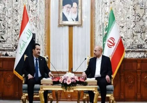 بازدید رئیس مجلس شورای اسلامی از کارخانه فولاد یزد
