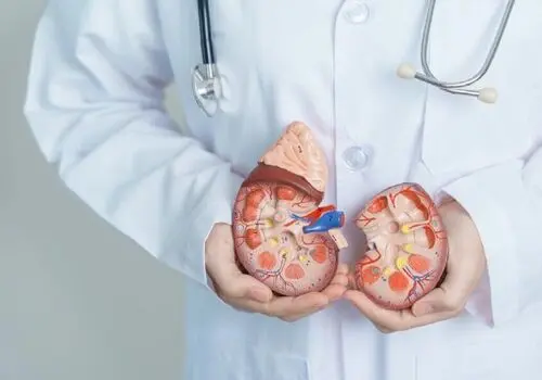 مشکلات گوارشی؛ زنگ خطر پنهان برای سلامت قلب