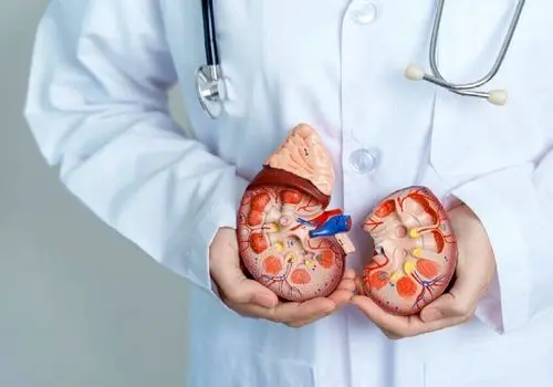 چرا بیماران کلیوی به مشکلات گوارشی دچار می‌شوند؟
