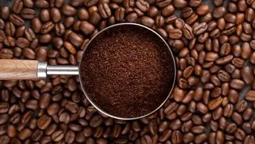 قهوه عربیکا چیست؟