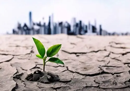 ترفندهای زمستانی برای جلوگیری از کم‌آبی بدن
