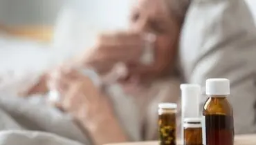هشدار فوری WHO؛ ویروس چیکونگونیا در آستانه تبدیل به همه‌گیری جهانی است