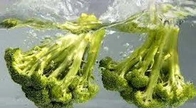  روش های صحیح شستشو و نگهداری کلم بروکلی