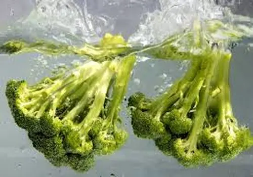  روش های صحیح شستشو و نگهداری کلم بروکلی