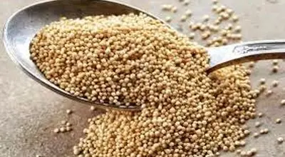 آمارانت چیست؟
