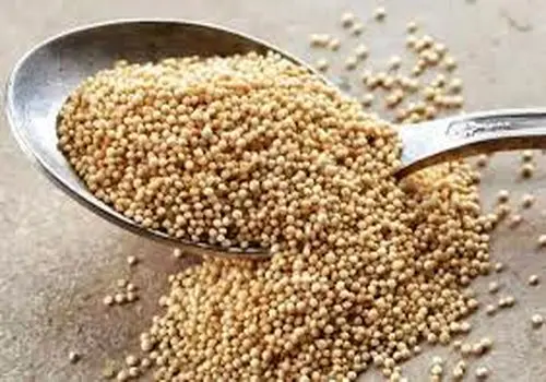 راز ۵هزار ساله بنای سنگی انگلیسی‌ها برملا می‌شود؟
