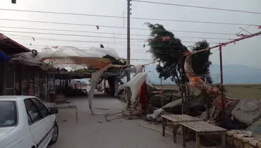 تندباد در مازندران یک فوتی برجای گذاشت
