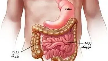  تقویت و سلامت روده بزرگ با راه های طبیعی