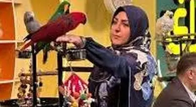 اتفاق عجیب در حین پخش زنده شبکه دو
