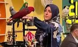 اتفاق عجیب در حین پخش زنده شبکه دو
