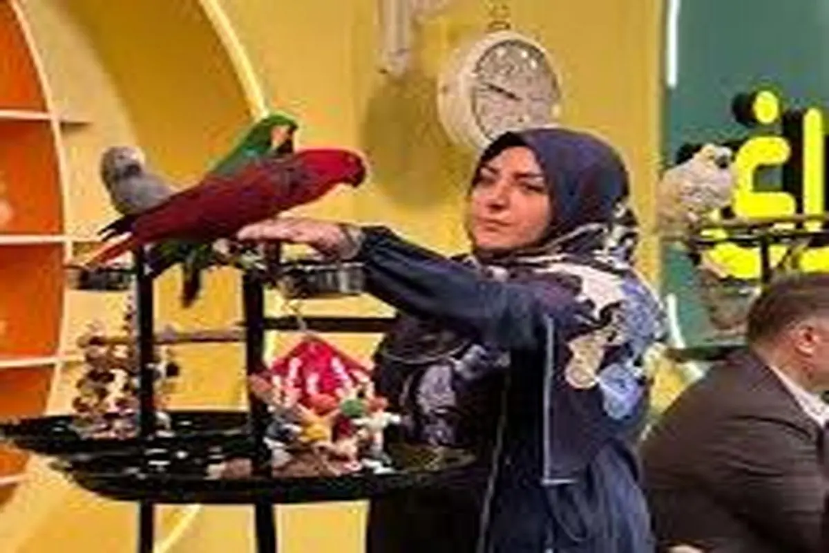 اتفاق عجیب در حین پخش زنده شبکه دو
